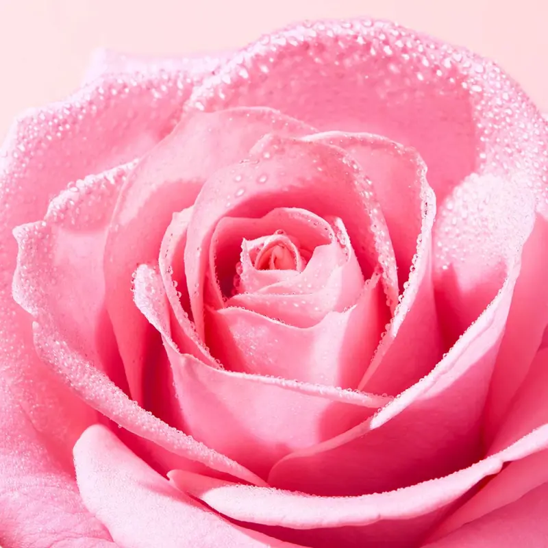 Very Rose 3 az 1-ben Nyugtató arctisztító micellás víz 100 ml